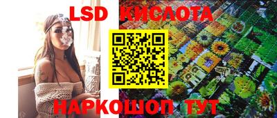 a pvp Краснознаменск
