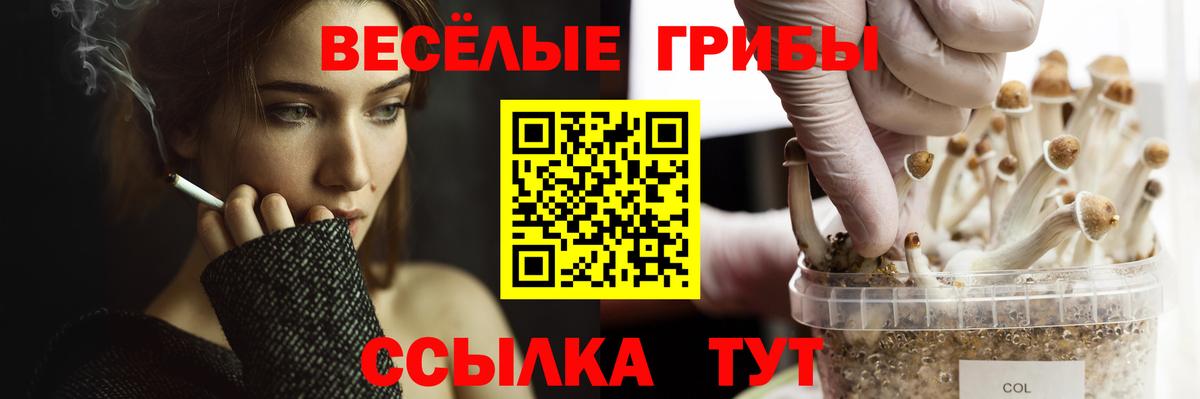 Дзержинский  Галлюциногенные грибы Magic Shrooms  Вход с VPN  Галлюциногенные грибы MAGIC MUSHROOMS 